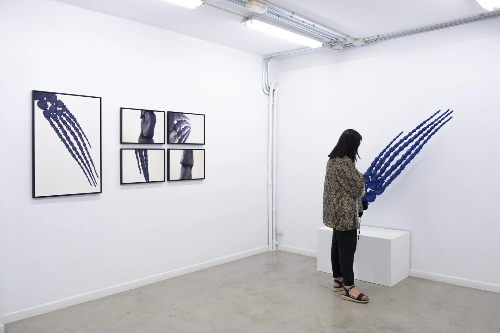 Fotografía de Galería de Arte A Ciegas
