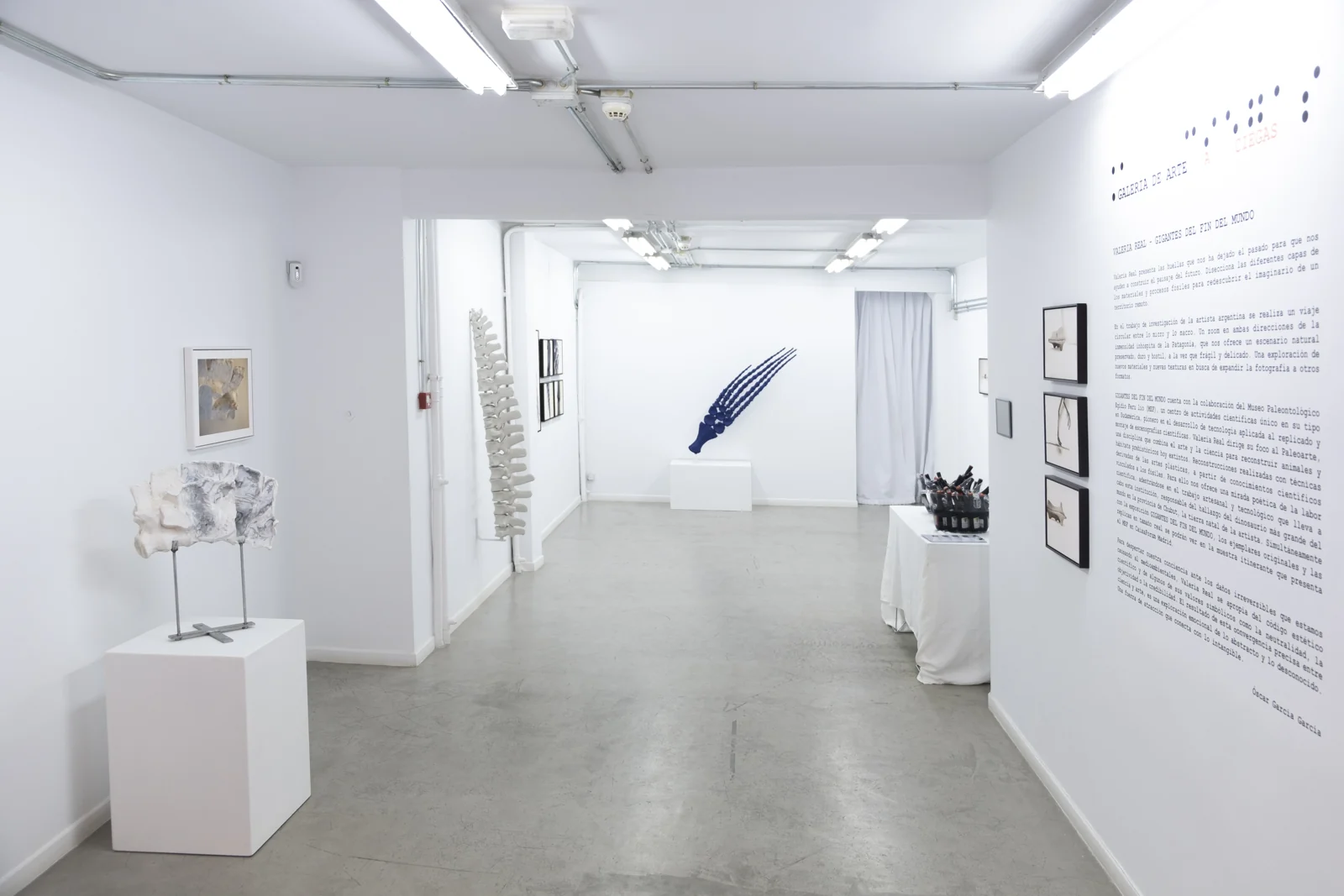 Fotografía de Galería de Arte A Ciegas